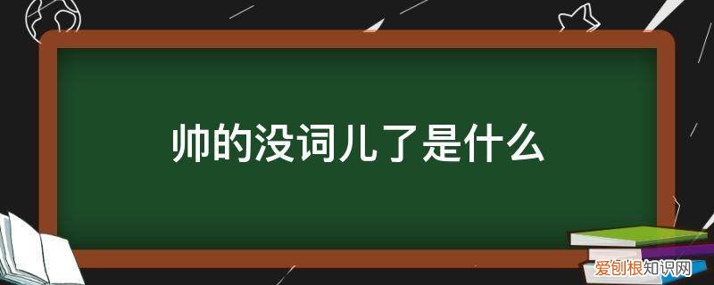 帅的组词是什么意思啊 帅的没词儿了是什么