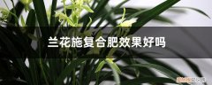 兰花施复合肥效果好吗,怎么施复合肥呢 兰花施复合肥效果好吗，怎么施复合肥