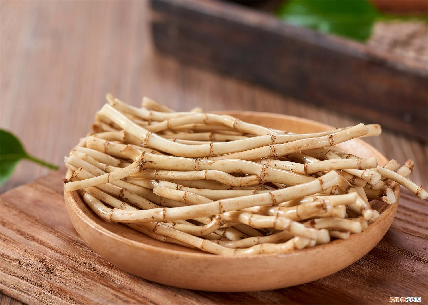 鱼腥草是否可以在北方种植 鱼腥草怎么分株种植，北方可以种吗