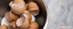 鸡蛋壳能回收利用吗 鸡蛋壳可以回收吗