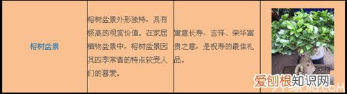 室内花卉盆景的养殖方法及注意事项，盆景养殖技术及方法