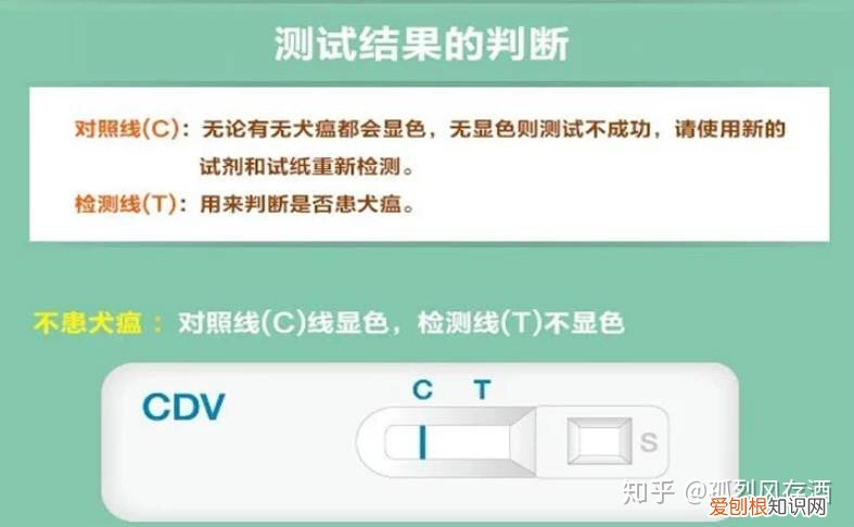 犬瘟热的诊断与防治毕业论文，爱宠小科普——犬瘟热的鉴别与预防