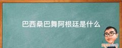 古巴桑巴舞 巴西桑巴舞阿根廷是什么