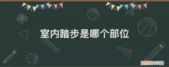 室内踏步是哪个部位图解 室内踏步是哪个部位