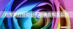 对专家打分扣分不明确告知怎么办