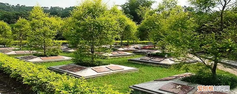 陵墓和陵寝 陵园和墓地有区别吗