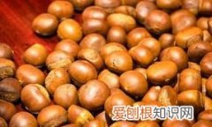 板栗是种子还是果实，栗子属于坚果还是水果