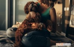 狗拉稀吃什么药好 幼犬拉稀吃什么药最好