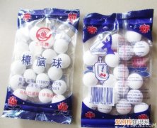 樟脑丸能防臭虫吗别说小编没告诉你！