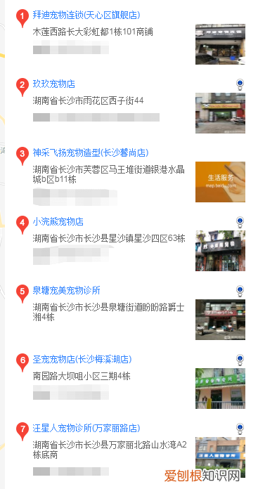 长沙有圣伯纳犬买吗 长沙哪里有圣伯纳犬买