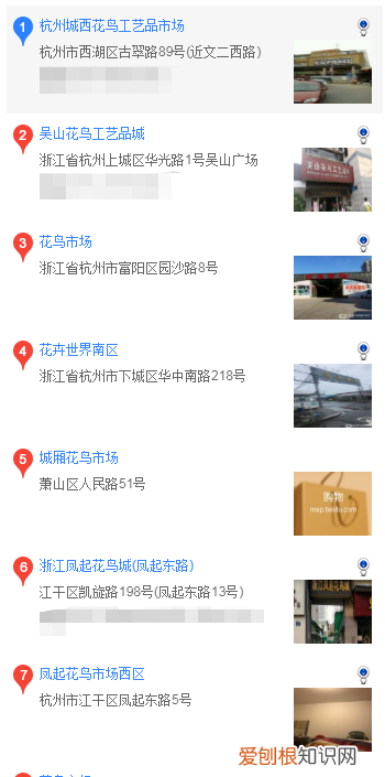 杭州哪里买比熊好 杭州买比熊的的地方