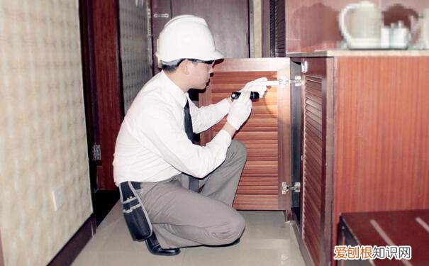 家里有臭虫怎么办不用怕!小编教您怎么灭臭虫!