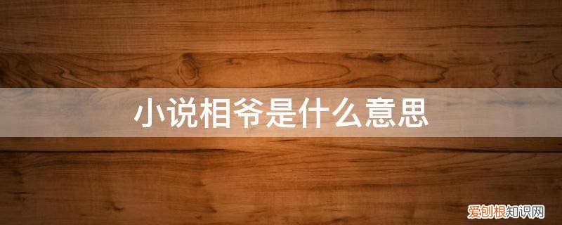 侯爷跟相爷 小说相爷是什么意思