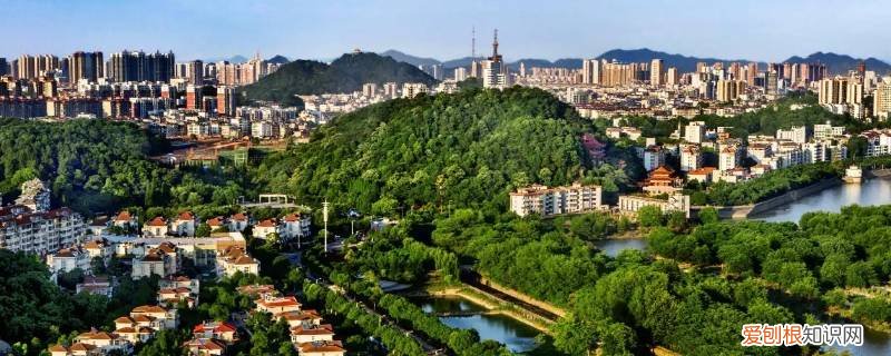 宜春市最大的村 宜春市有农村吗