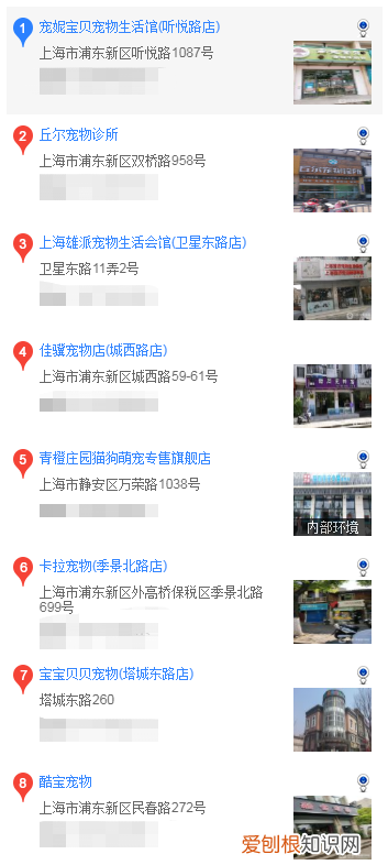 上海哪里买法斗 上海在什么地方买法斗