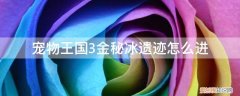 宠物王国3宠物获得攻略 宠物王国3金秘冰遗迹怎么进