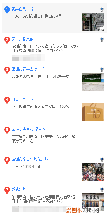 泰迪在哪里买 泰迪在什么地方购买