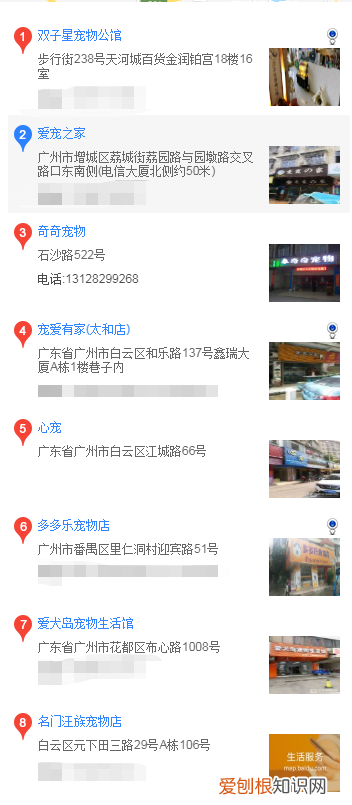 广州哪里买金毛 广州在什么地方购买金毛