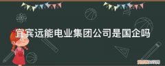 宜宾力源电机厂是国企吗 宜宾远能电业集团公司是国企吗