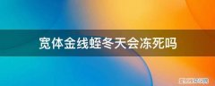 养殖宽体金线蛭主要的问题 宽体金线蛭冬天会冻死吗