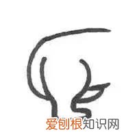 猫尾巴炸毛怎么回事 尾巴炸毛的信息你都掌握了吗