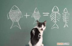 猫咪为什么喜欢吃鱼和老鼠 小猫为什么喜欢吃鱼和老鼠呢