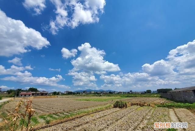 美版三星note10+和国行的区别