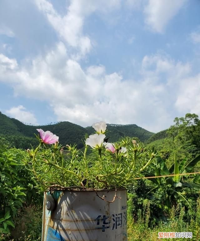 美版三星note10+和国行的区别