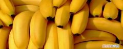 香蕉挂起来还是放着容易坏 香蕉挂着放不容易坏的原理