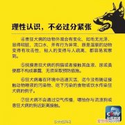 被猫抓了肿了个白包 难道是感染狂犬病的前兆?!