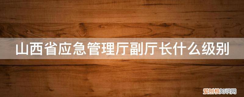 山西省应急管理厅副厅长什么级别的 山西省应急管理厅副厅长什么级别