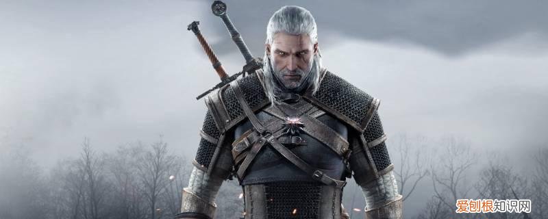 巫师3给剑上油 巫师3涂不了剑油