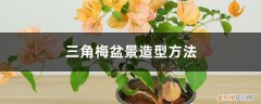 三角梅盆景剪枝造型教程视频 三角梅盆景造型方法，如何修剪