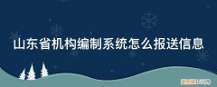 山东省编制网站 山东省机构编制系统怎么报送信息