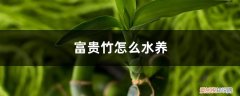 怎样用水养富贵竹 富贵竹怎么水养，富贵竹水养技巧