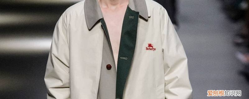 巴宝莉儿童十岁的有多大