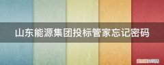 山东能源集团投标管家下载 山东能源集团投标管家忘记密码