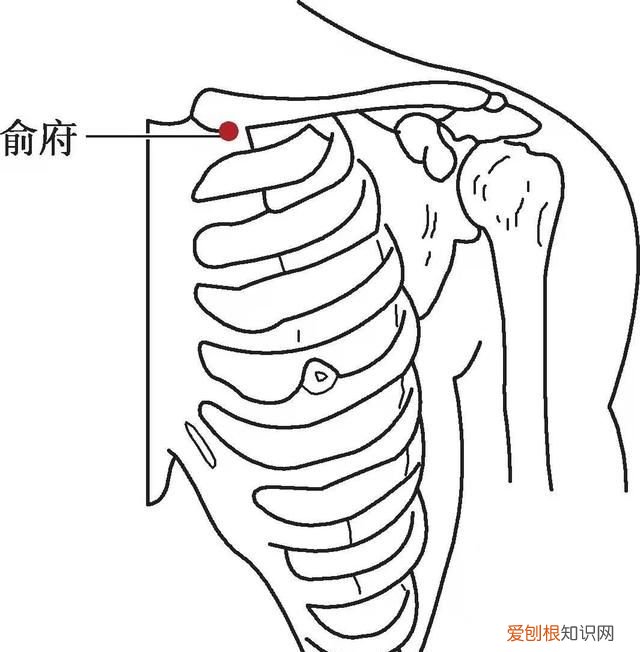 国医大师吕景山出诊时间