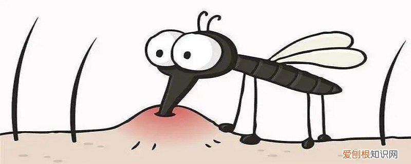 蚊子会灭绝吗 蚊子会不会灭绝