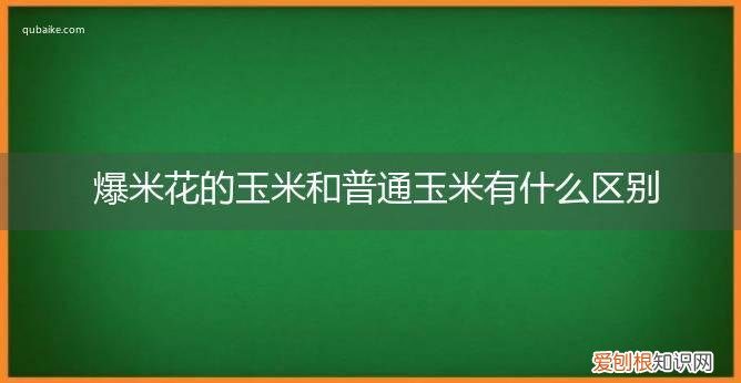 爆米花的玉米与普通玉米区别 爆米花的玉米和普通玉米有什么区别