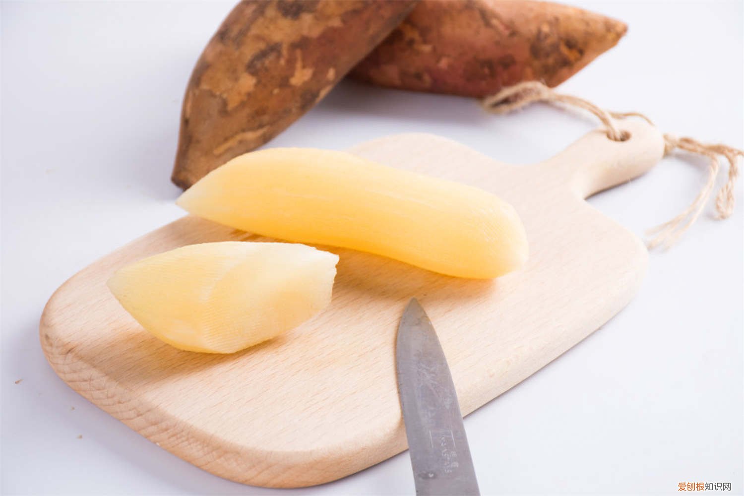 雪莲果什么时候种植 方法 雪莲果种植方法，雪莲果什么时候种植