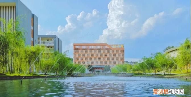 上游里的江州大学是哪里