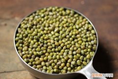 狗能吃绿豆吗会中毒吗 狗能吃绿豆吗
