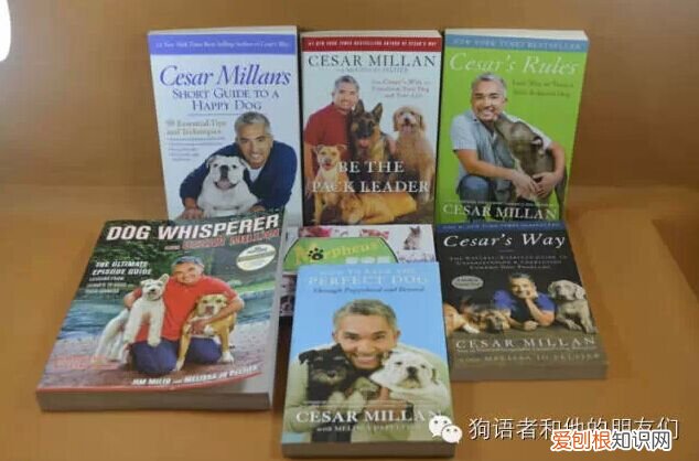 怼语音狗的句子，【狗语者说-104-】“养狗十问”-答对了这些问题你就可以养狗了