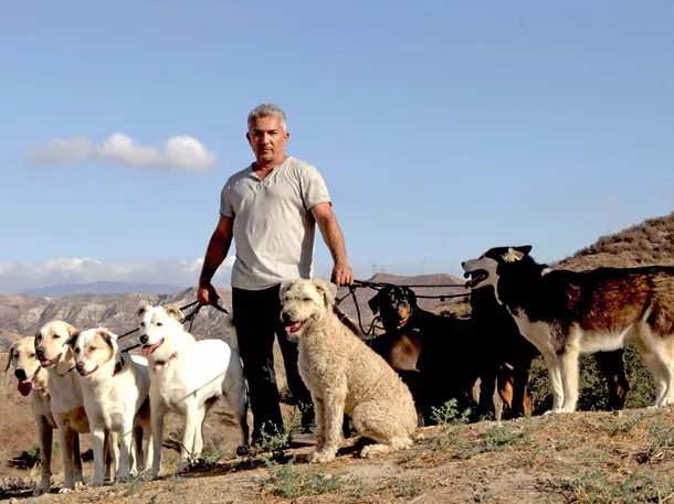 怼语音狗的句子，【狗语者说-104-】“养狗十问”-答对了这些问题你就可以养狗了