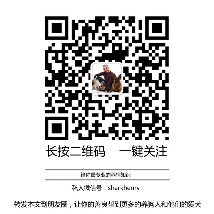 怼语音狗的句子，【狗语者说-104-】“养狗十问”-答对了这些问题你就可以养狗了