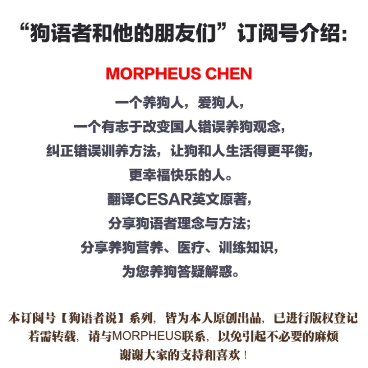 怼语音狗的句子，【狗语者说-104-】“养狗十问”-答对了这些问题你就可以养狗了