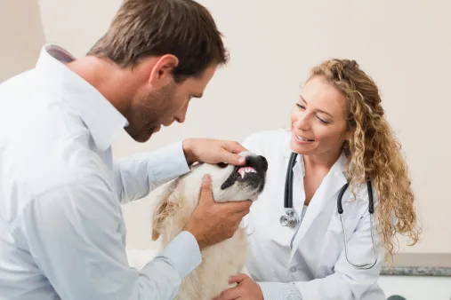 怼语音狗的句子，【狗语者说-104-】“养狗十问”-答对了这些问题你就可以养狗了