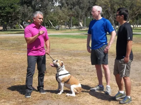 怼语音狗的句子，【狗语者说-104-】“养狗十问”-答对了这些问题你就可以养狗了