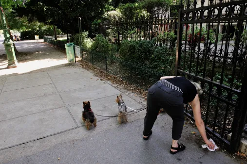 怼语音狗的句子，【狗语者说-104-】“养狗十问”-答对了这些问题你就可以养狗了